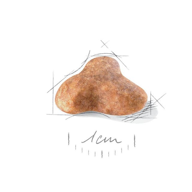 Royal Canin Pug Adult - 5