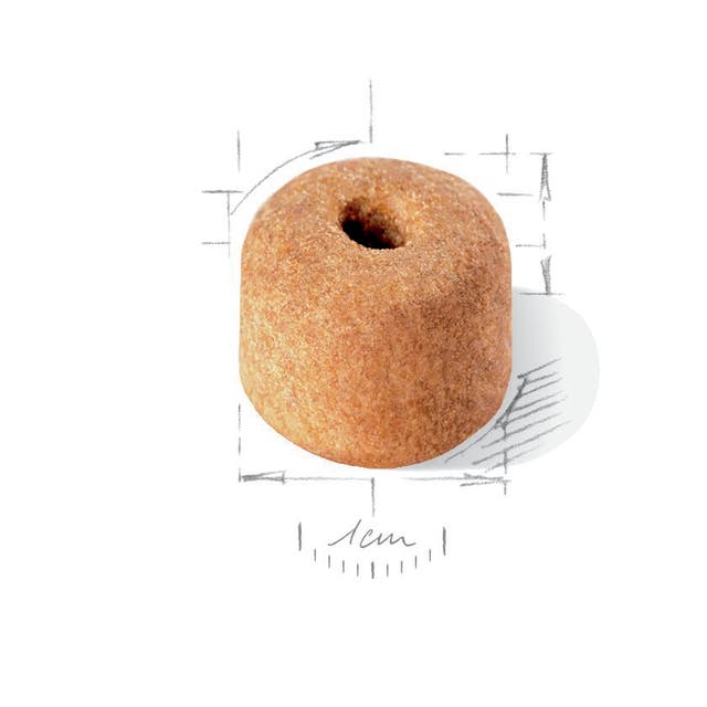 Royal Canin Labrador Retriever Adult - 5