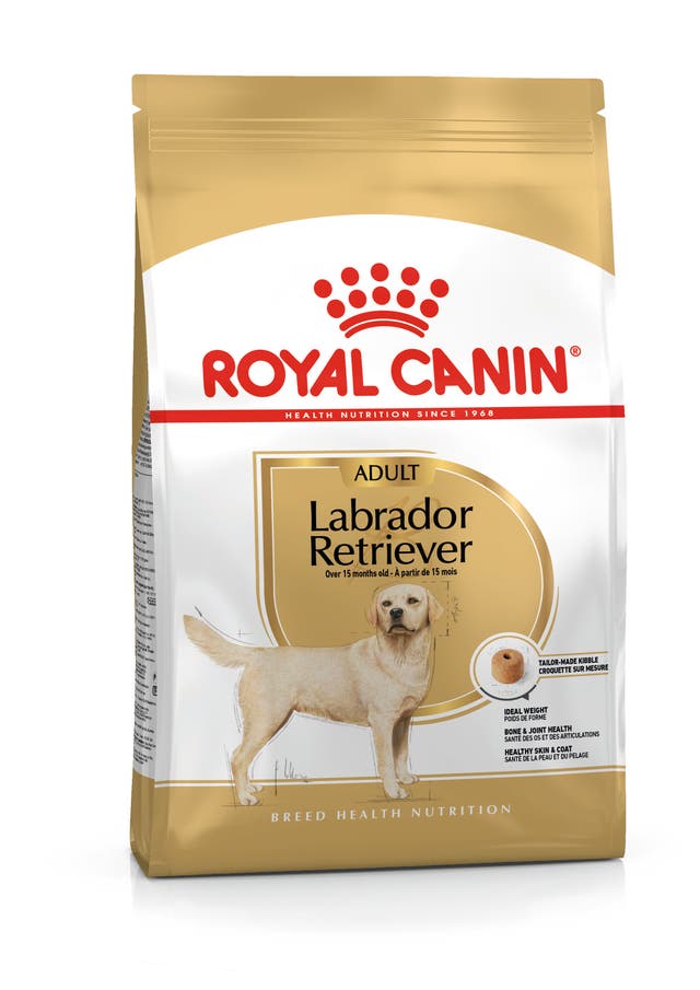 Royal Canin Labrador Retriever Adult - 1