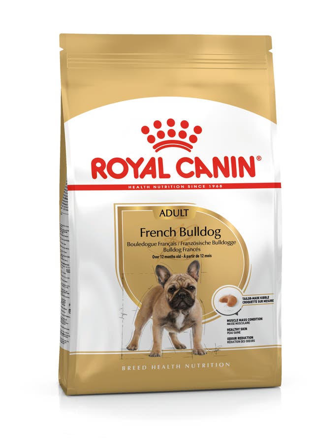 Royal Canin Bulldog Francés Adulto - 1