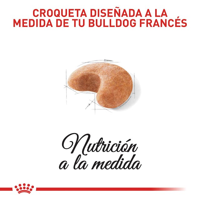 Royal Canin Bulldog Francés Adulto - 4