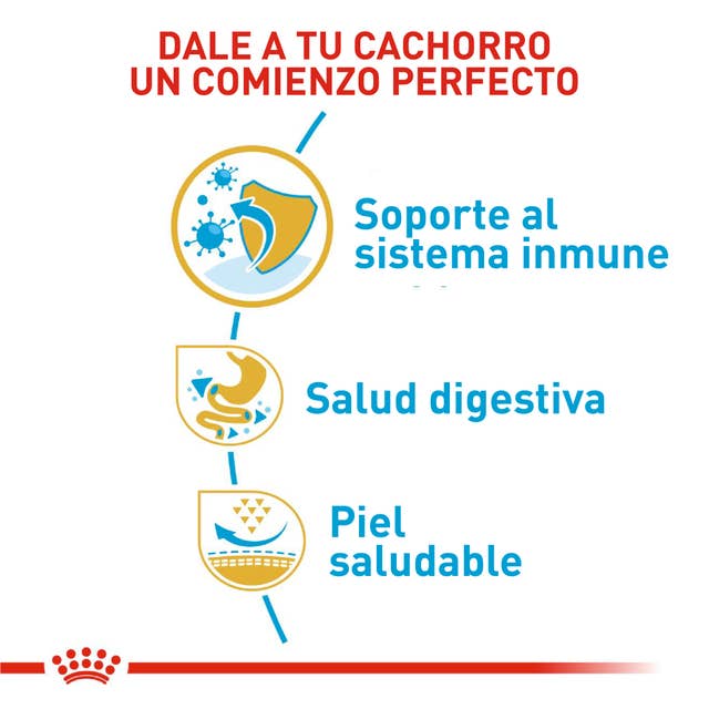 Royal Canin Bulldog Francés Cachorro - 2