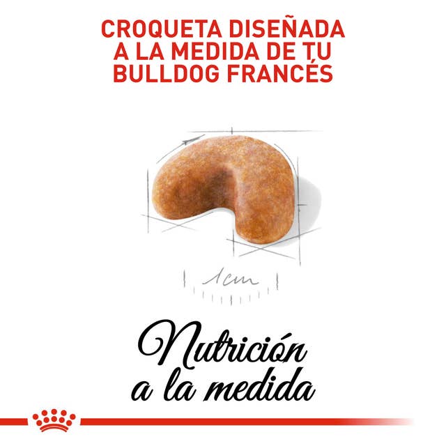 Royal Canin Bulldog Francés Cachorro - 4