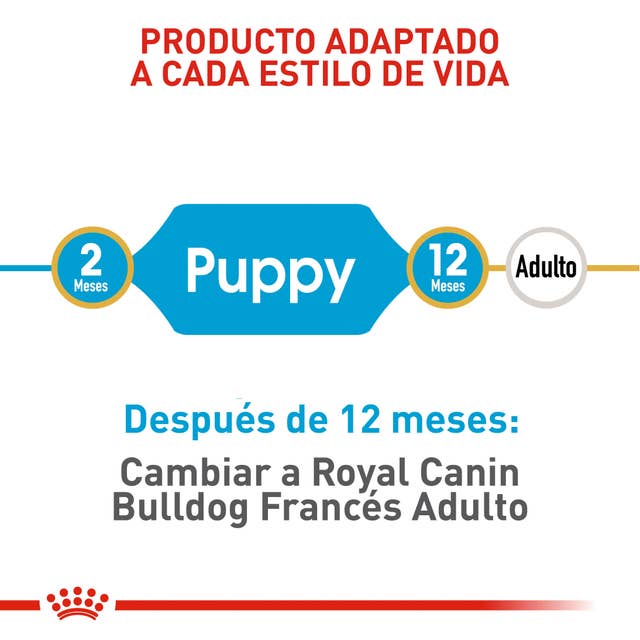 Royal Canin Bulldog Francés Cachorro - 3