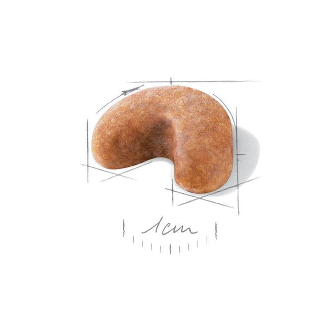 Royal Canin Bulldog Francés Cachorro - 8