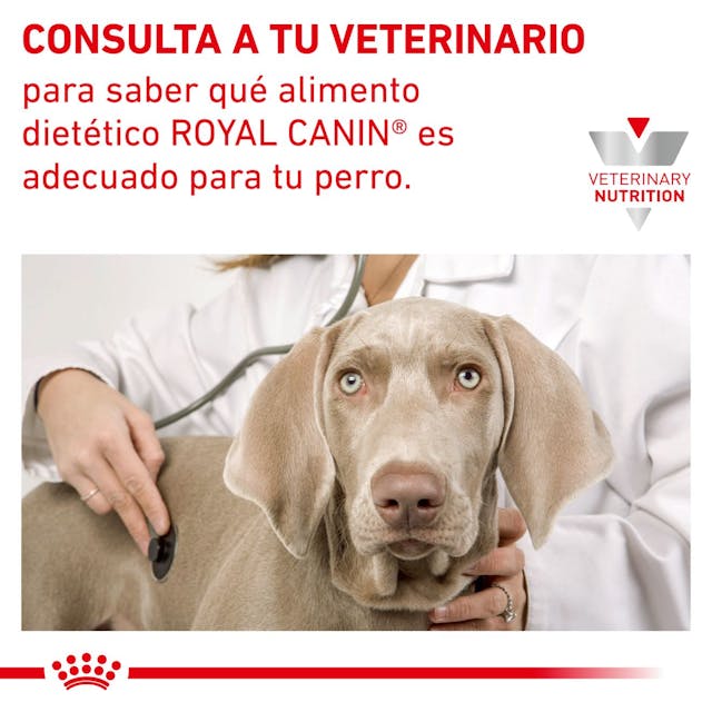Royal Canin Hypoallergenic para Perro Necesidades Especiales - 7