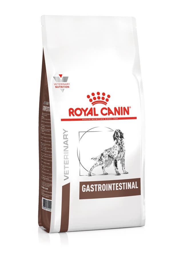 Royal Canin Gastrointestinal para Perro Necesidades Especiales - 1