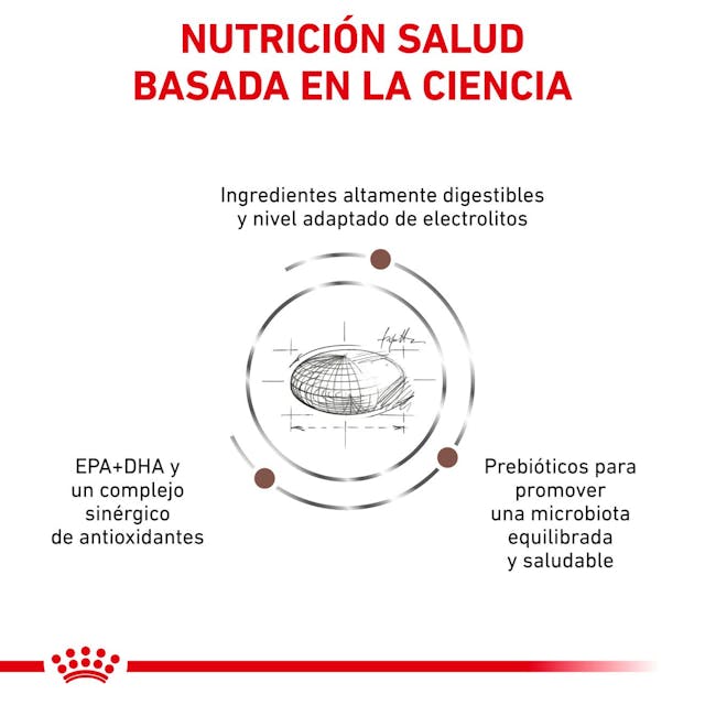 Royal Canin Gastrointestinal para Perro Necesidades Especiales - 5