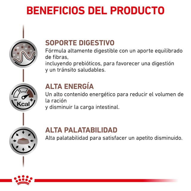 Royal Canin Gastrointestinal para Perro Necesidades Especiales - 6