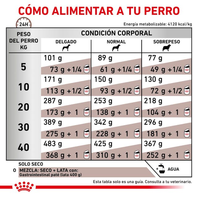Royal Canin Gastrointestinal para Perro Necesidades Especiales - 7