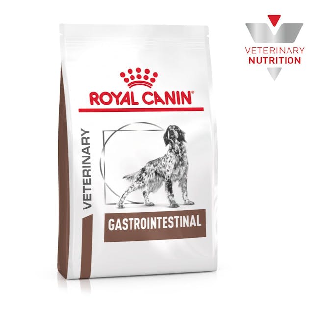 Royal Canin Gastrointestinal para Perro Necesidades Especiales - 2