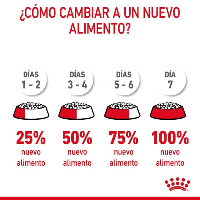 Royal Canin Hairball Care para Gato Adulto - 7