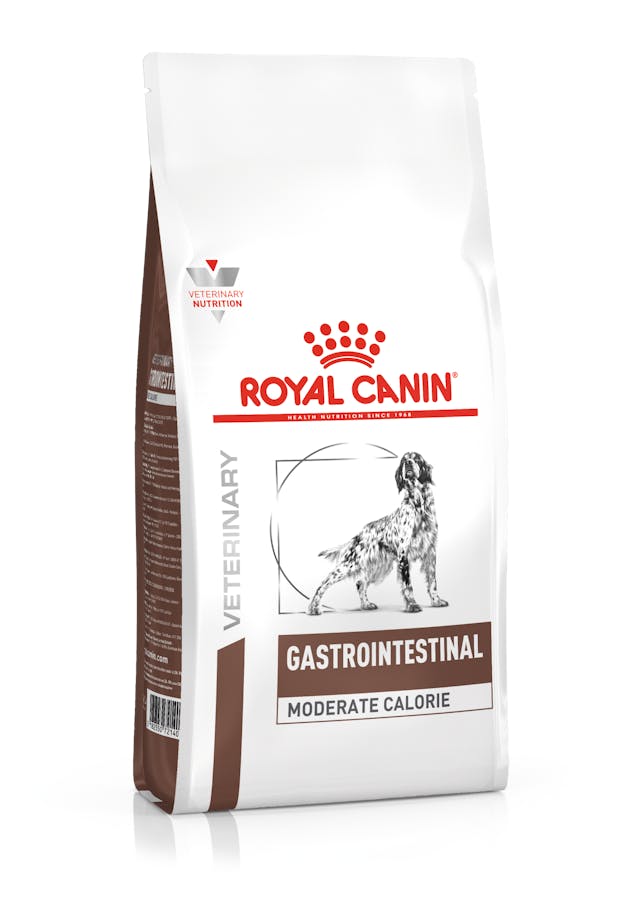 Royal Canin Gastrointestinal Moderate Calorie para Perro Adulto