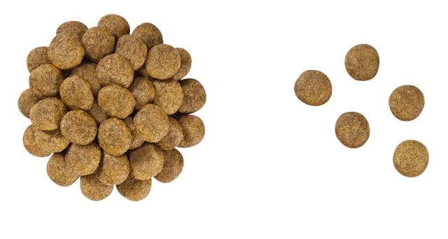 Royal Canin Early Cardiac para Perro Necesidades Especiales - 2