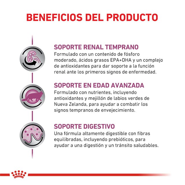 Royal Canin Early Renal para Gato Necesidades Especiales - 4