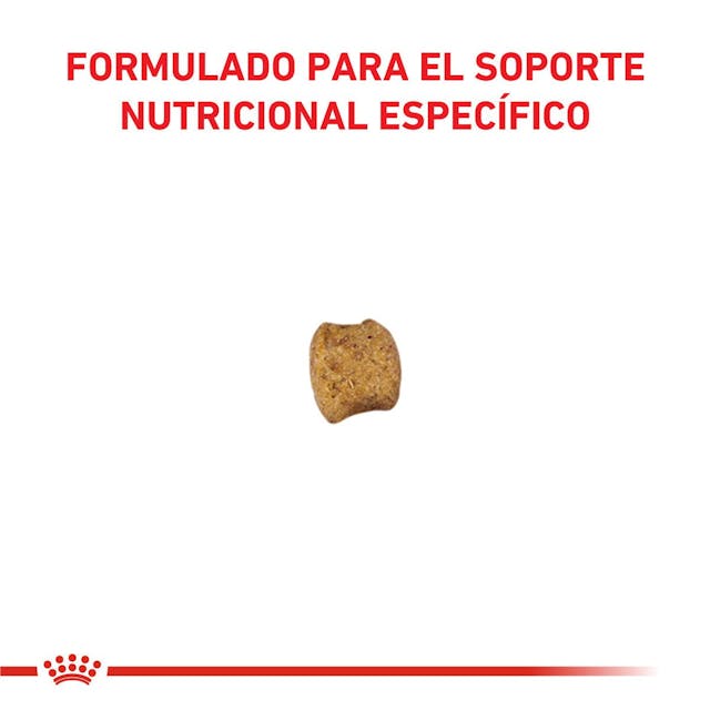 Royal Canin Early Renal para Gato Necesidades Especiales - 3