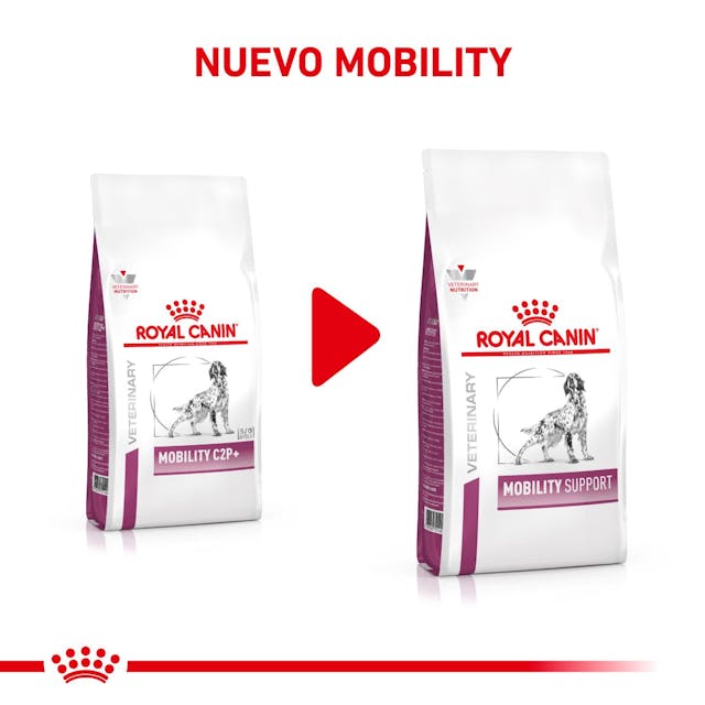 Royal Canin Mobility Support para Perro Adulto - 5