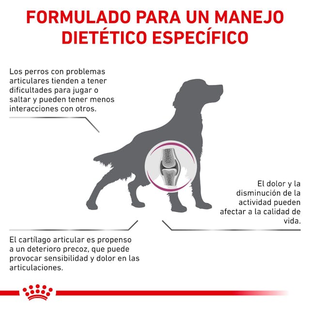 Royal Canin Mobility Support para Perro Adulto - 6