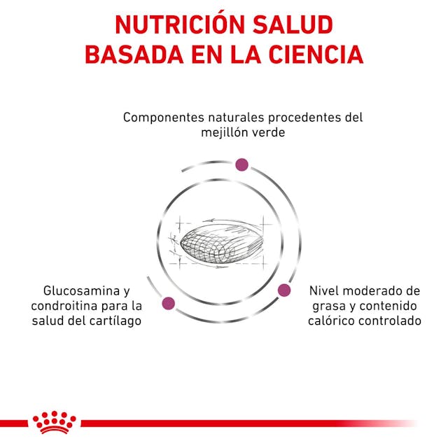 Royal Canin Mobility Support para Perro Adulto - 7