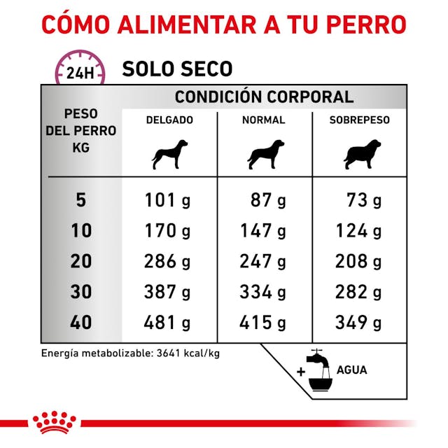 Royal Canin Mobility Support para Perro Adulto - 3