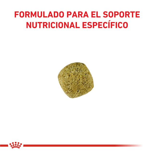 Royal Canin Diabetic Canine - 3