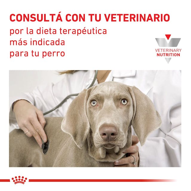 Royal Canin Diabetic Canine - 5