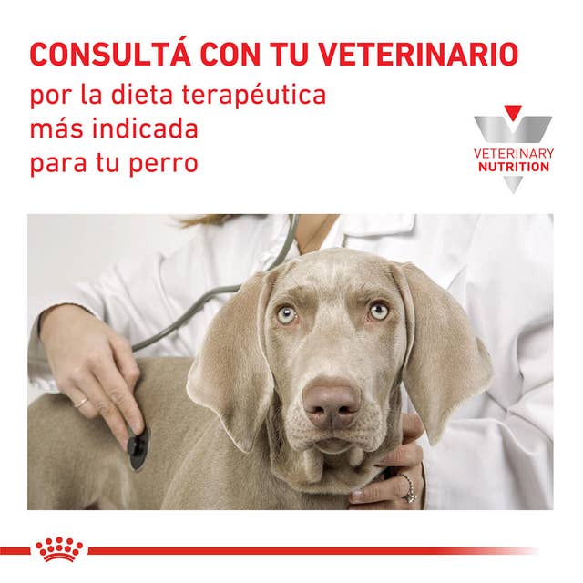 Royal Canin Renal para Perro Necesidades Especiales - 5