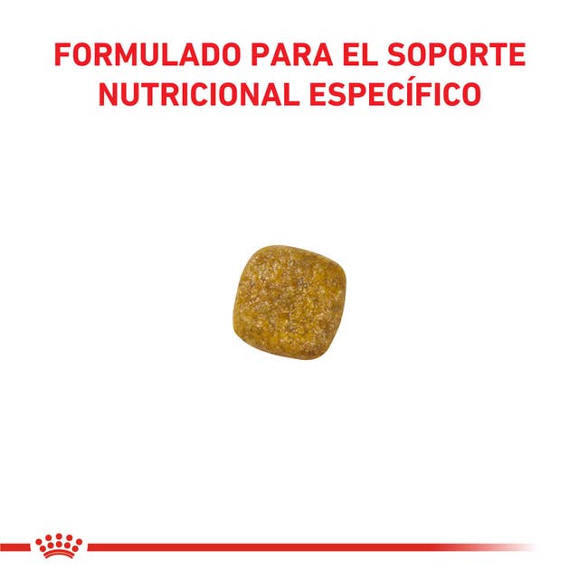 Royal Canin Renal para Perro Necesidades Especiales - 3