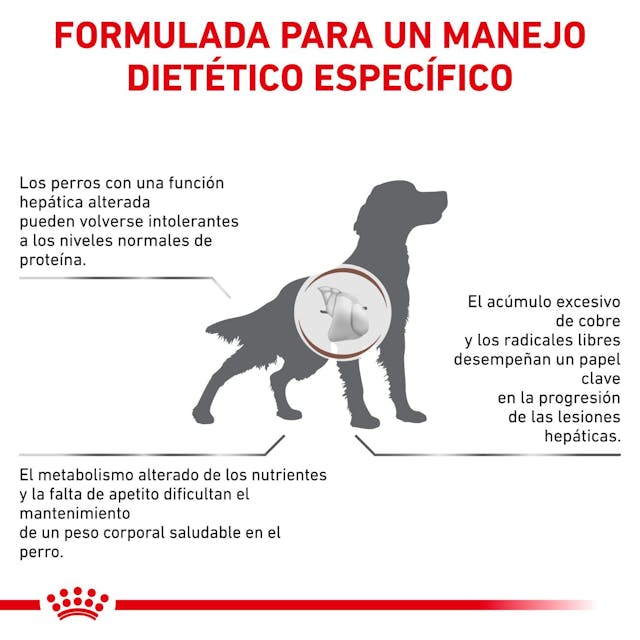 Royal Canin Hepatic para Perro Necesidades Especiales - 5