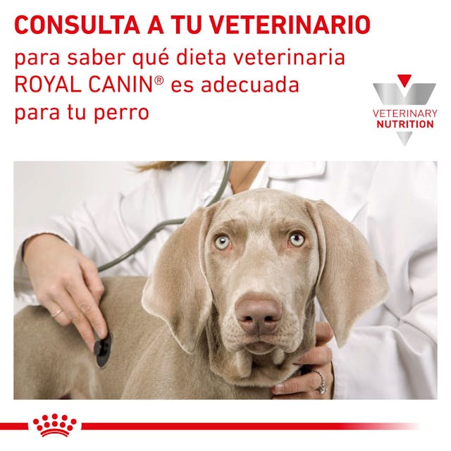 Royal Canin Hepatic para Perro Necesidades Especiales - 8