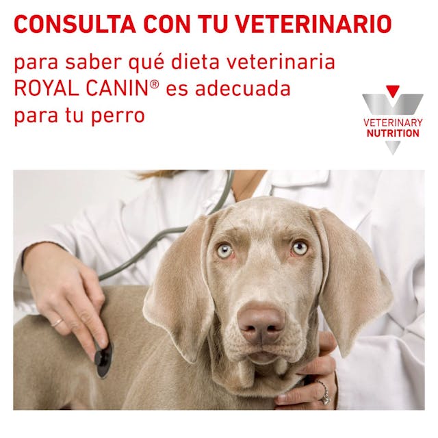 Royal Canin Urinary S/O para Perro Necesidades Especiales - 5