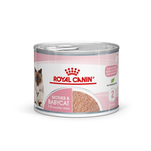 Royal Canin Mother & Babycat Mousse para Gato Cachorro - 1