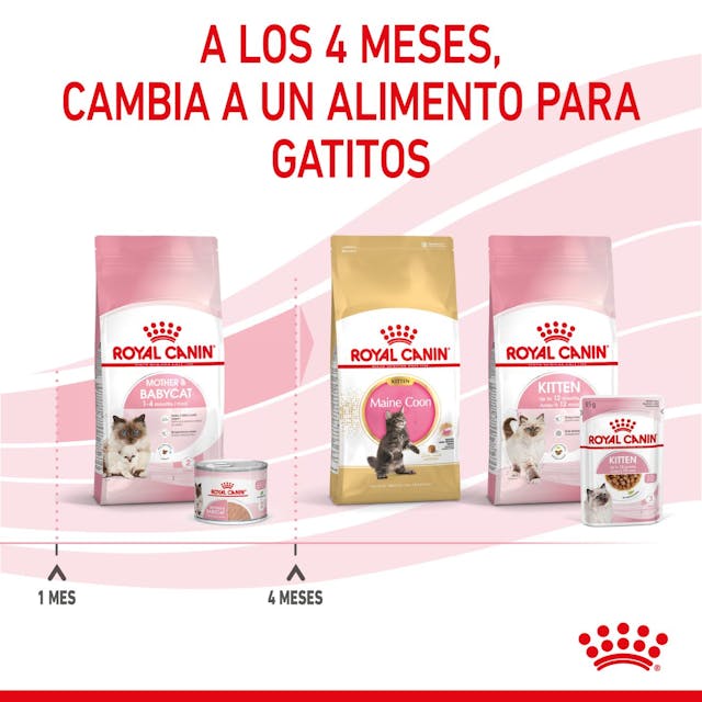 Royal Canin Mother & Babycat Mousse para Gato Cachorro - 3