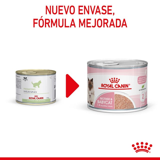 Royal Canin Mother & Babycat Mousse para Gato Cachorro - 6