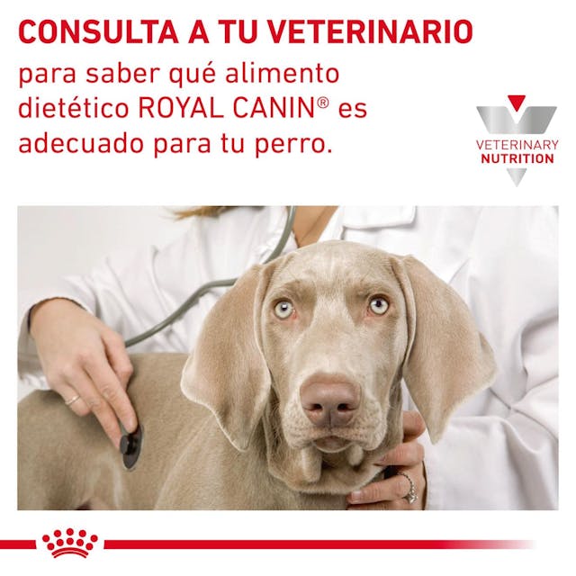 Royal Canin Gastrointestinal Low Fat para Perro Necesidades Especiales - 7