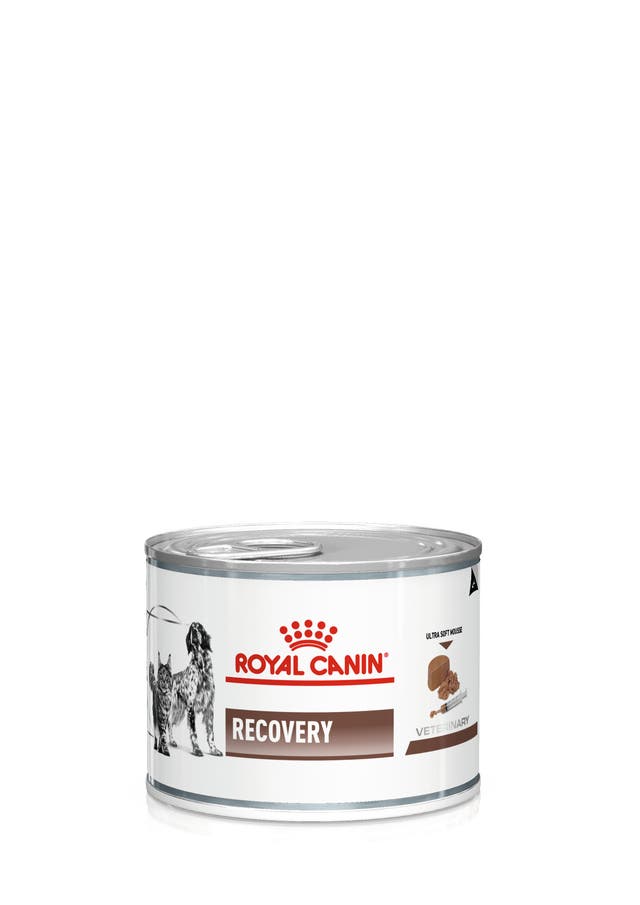 Royal Canin Recovery para Perro Necesidades Especiales - 1