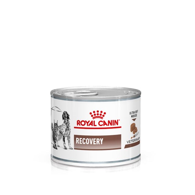 Royal Canin Recovery para Perro Necesidades Especiales - 2