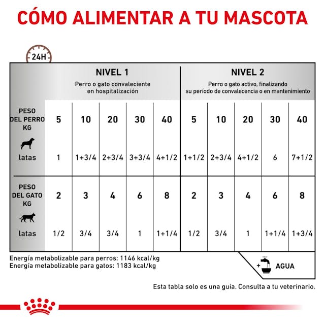 Royal Canin Recovery para Perro Necesidades Especiales - 3