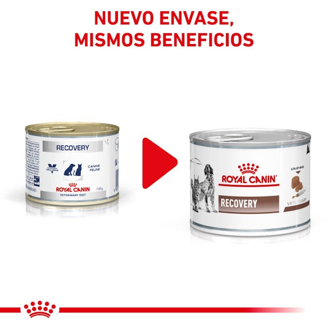 Royal Canin Recovery para Perro Necesidades Especiales - 6