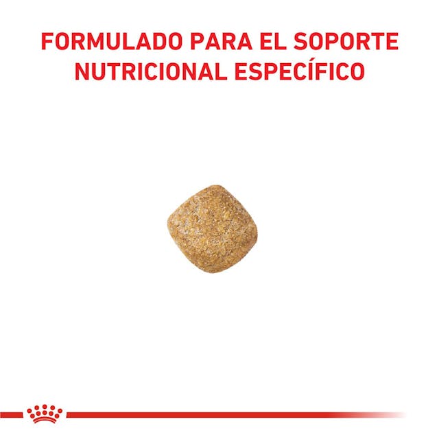 Royal Canin Mature Consult para Gato Senior - 3