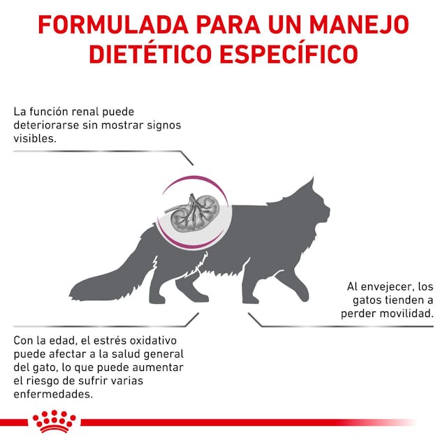 Royal Canin Early Renal para Gato Senior - 2