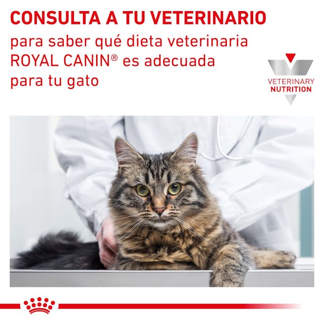 Royal Canin Early Renal para Gato Senior - 8
