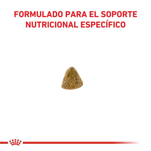 Royal Canin Hipoalergénico para Gato Adulto - 3