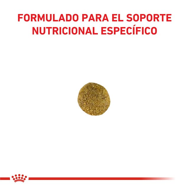 Royal Canin Satiety Support para Gato Adulto - 2