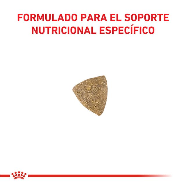 Royal Canin Calm para Gato Adulto - 3