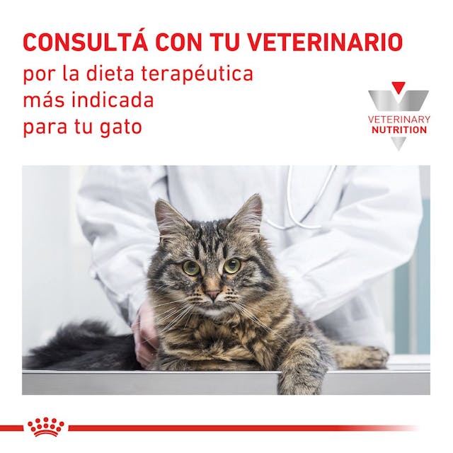 Royal Canin Calm para Gato Adulto - 5