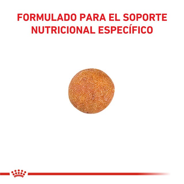 Royal Canin Urinary S/O para Gato Necesidades Especiales - 3