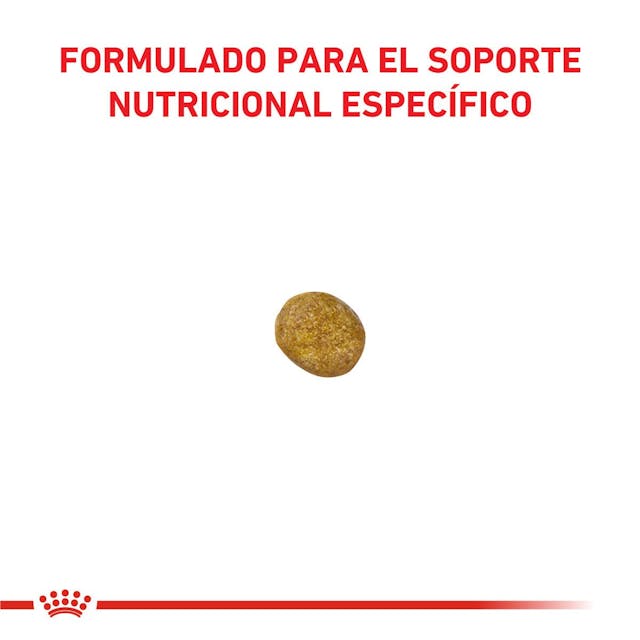 Royal Canin Renal para Gato Necesidades Especiales - 3