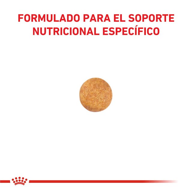 Royal Canin Hepatic para Gato Necesidades Especiales - 3