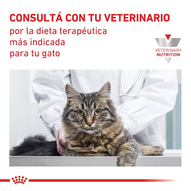 Royal Canin Hepatic para Gato Necesidades Especiales - 5